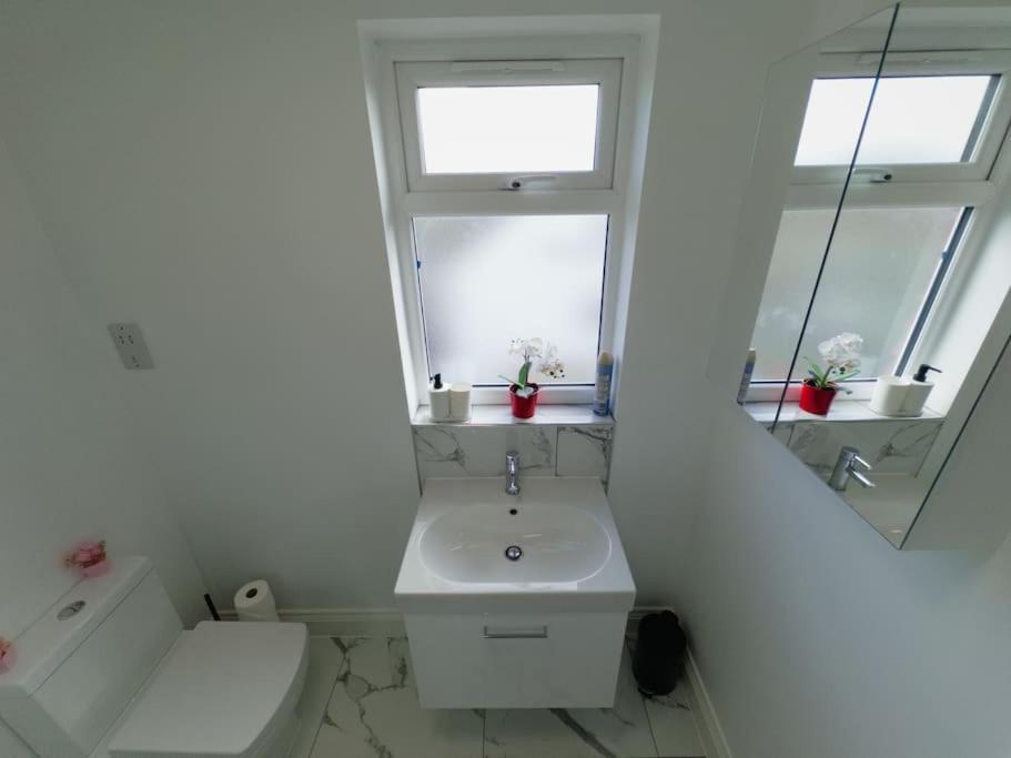 Ideal Studio Loft 30Min To Central Λονδίνο Εξωτερικό φωτογραφία